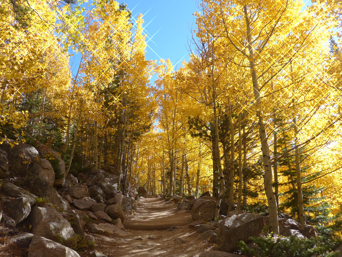 How to Make Photos in RMNP