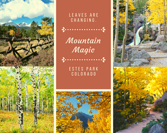 Guide to Fall Colors